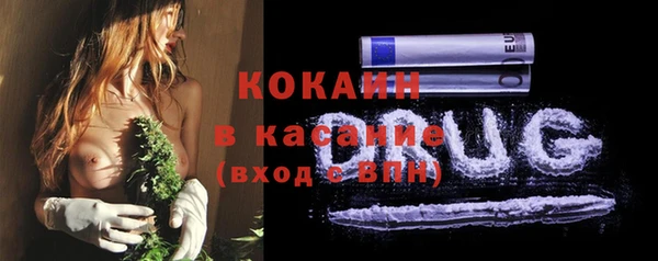 ПСИЛОЦИБИНОВЫЕ ГРИБЫ Лихославль