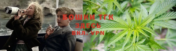 ПСИЛОЦИБИНОВЫЕ ГРИБЫ Лихославль