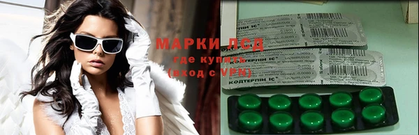 ПСИЛОЦИБИНОВЫЕ ГРИБЫ Лихославль