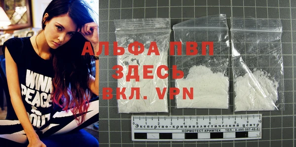 ПСИЛОЦИБИНОВЫЕ ГРИБЫ Лихославль