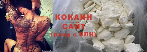 ПСИЛОЦИБИНОВЫЕ ГРИБЫ Лихославль